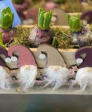 Carrément Fleurs - Fleuriste Cabestany Perpignan 66 - Livraison de fleurs à domicile image 9