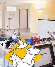 Kleintierpraxis Dr. Patrick Schlegel Bild 3