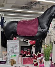 EQUIVA Aachen Bild 12
