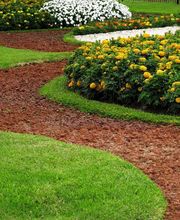 Sundrop Gardens Landscaping image 15