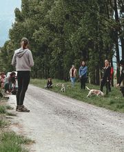 Le chien serein Bild 2
