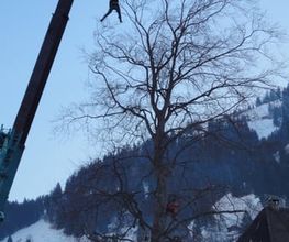Kallen Gartenbau und Unterhalt Bild 6