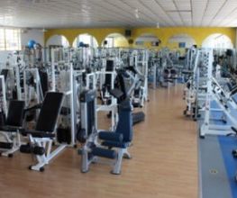 Gallery Cliente
