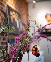 Fotostudio Cella Seven Bild 5