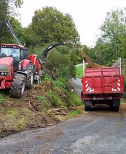 Sos Elagage & Energie Verte image 12