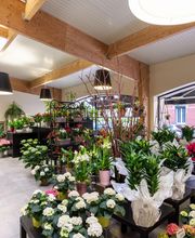 Janval Fleuri image 10
