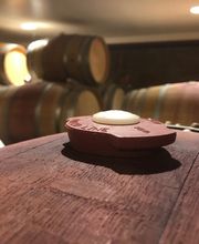 Captain Vineyards image 14