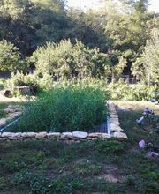 Saget Jean-Luc image 18