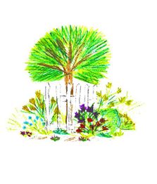 Les Jardins de la Seulles