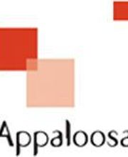 Appaloosa image 3