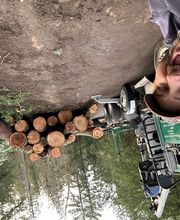 Saylor Landscaping image 9