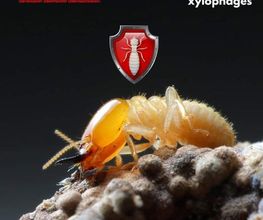 TMD Environnement image 1