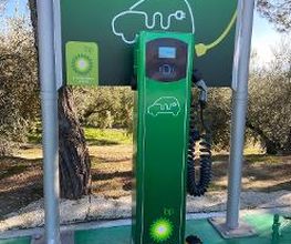 bp imagen 4