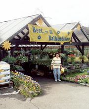 Büchner Gärtnerei und Blumengeschäft Bild 6