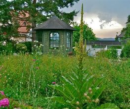 Gartenunterhalt & Gartenpflege