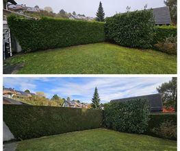 A'rborescence & Paysage Sàrl Bild 7