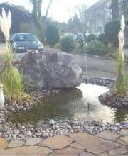 Duttweiler Jürg Bild 11