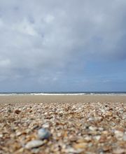 Camping In de Bongerd