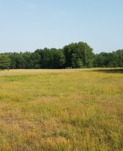 EselWanderHof-Spree-Neiße Bild 10