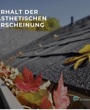 Dachrinnenreinigung