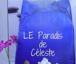Le Paradis de Celeste image 7