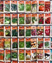 Bricomarché Maiche image 10