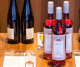 Jacques’ Wein-Depot Coburg Bild 9
