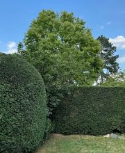 Daily Gartenpflege Bild 12