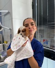 Vet Village - Policlinico Veterinario e Pronto Soccorso h24 immagine 9