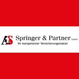 Springer & Partner GmbH