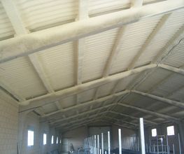 18230425-2-qJth7Fser11531901592646.jpeg