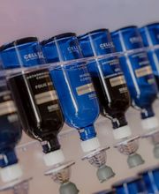 Jaclyn Cosmetics Bild 6