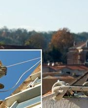 Géraud Philippe image 1