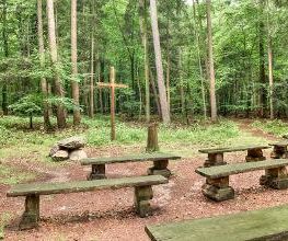 FriedWald Buxtehude Bild 18
