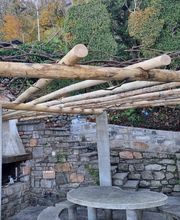 Carlo Bagutti Giardiniere Bild 1