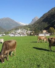 Caseificio del sole e Azienda Agricola Rigozzi Bild 5