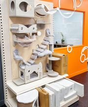 ZOOMALIA Foix 09 | Animalerie image 11