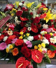 M'Amie Fleur image 3