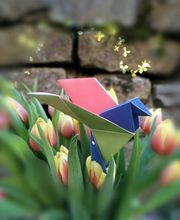 Présence Verte Auvergne image 8