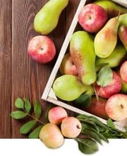 Jardiland La Rosée image 6