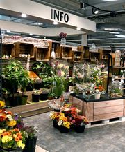 BLUMENABTEILUNG
Blumen sagen mehr als tausend Worte. Und manchmal müssen sie auch gar nichts Besonderes mitteilen, sondern einfach nur mit ihrer Vielfalt und Schönheit erfreuen. Auch in unserer Blumenabteilung im Vorkassenbereich gibt es Schönheiten zu bestaunen.
Schnittblumen, Topf– und Grünpflanzen, Orchideen sind nur einige davon. Magst du es verspielter, dann hast du sicherlich Freude an den verschiedenen Deko-Artikeln, darunter auch zur jeweiligen Saison passende Ideen. Natürlich gibt es hier auch „Zubehör“ wie Dünger, Erde oder Übertöpfe. Zur Weihnachtszeit legt sich ein Zauber über unsere Blumenabteilung, wenn zum Tannenbaumverkauf eingeladen wird.