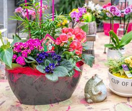 Fleurs Stempfler image 6