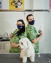 Mökai Mascotas imagen 4