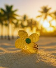 Intimity France image 11