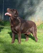 Tanja Wiedenmann Bild 15