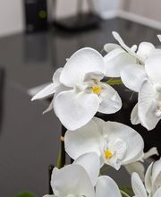 KS Gebäudereinigung Bild 10