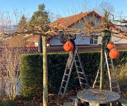 zehnder-garten GmbH Bild 7