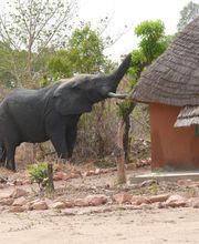 Bouche Jacques image 2