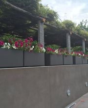 S. Sottile SA Bild 6