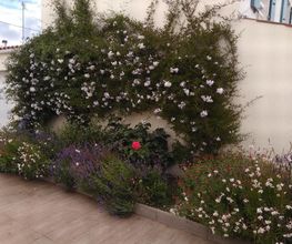 Jardins d'Ile image 11